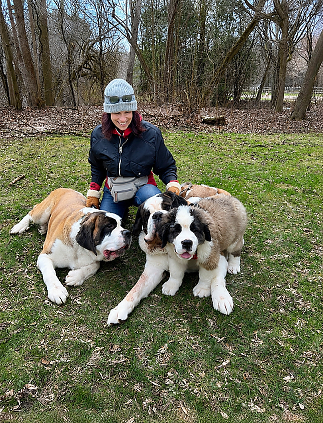 Dawn Chapnick with her Saint Bernards