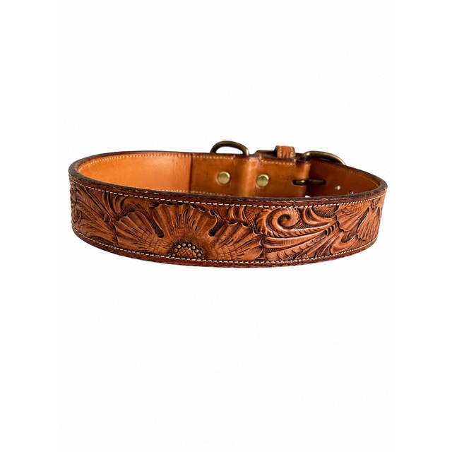 Collars & Leashes